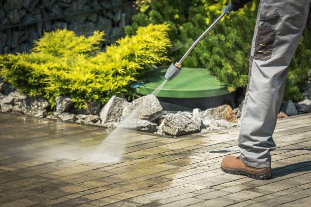Best Sidewalk and Walkway Cleaning  in Mccamey, TX