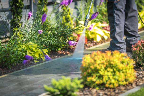 Best Driveway Pressure Washing  in Mccamey, TX