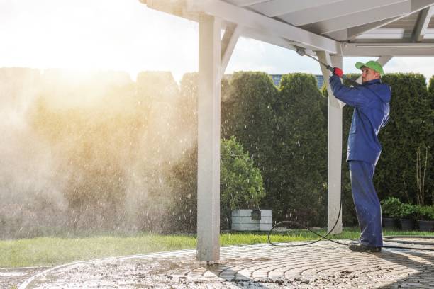 Solar Panel Cleaning in Mccamey, TX