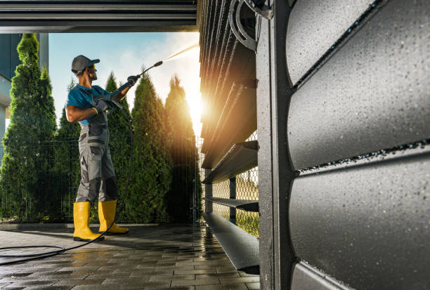 Best Graffiti Removal  in Mccamey, TX